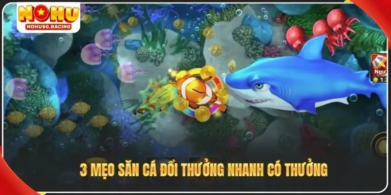 3 mẹo săn cá đổi thưởng nhanh có thưởng