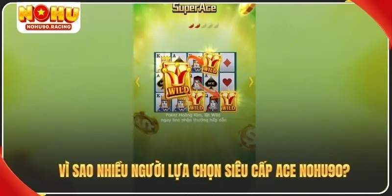 Vì sao nhiều người lựa chọn siêu cấp ACE Nohu90?